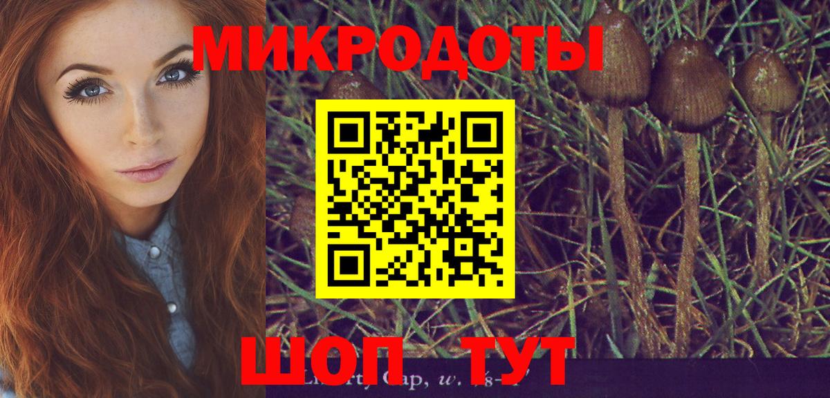 Галлюциногенные грибы мухоморы  Вход с VPN  наркотики  Галлюциногенные грибы мицелий  Ярославль 