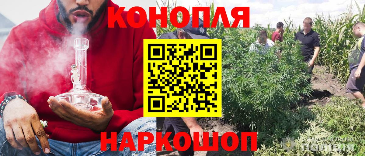 Бошки марихуана ГИДРОПОН Ярославль